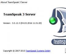 TeamSpeak უფასო ჩამოტვირთვა რუსული ვერსია