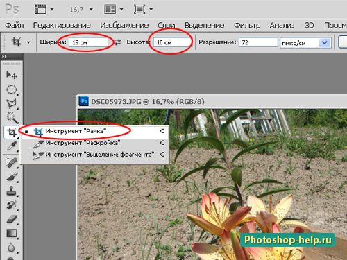 Как изменить обрезать фото в фотошопе